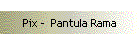 Pix -  Pantula Rama